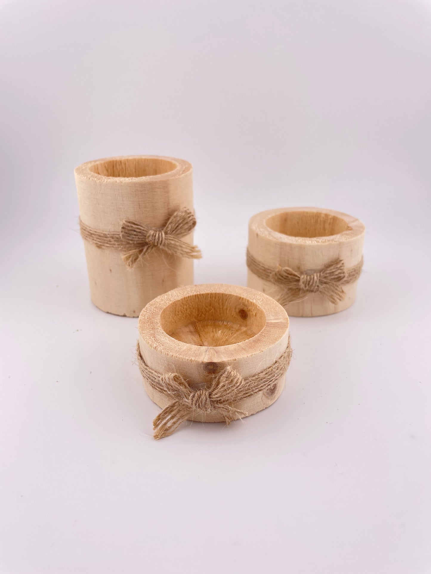 3 Tillandsia Air plants w/ wooden holders #W4