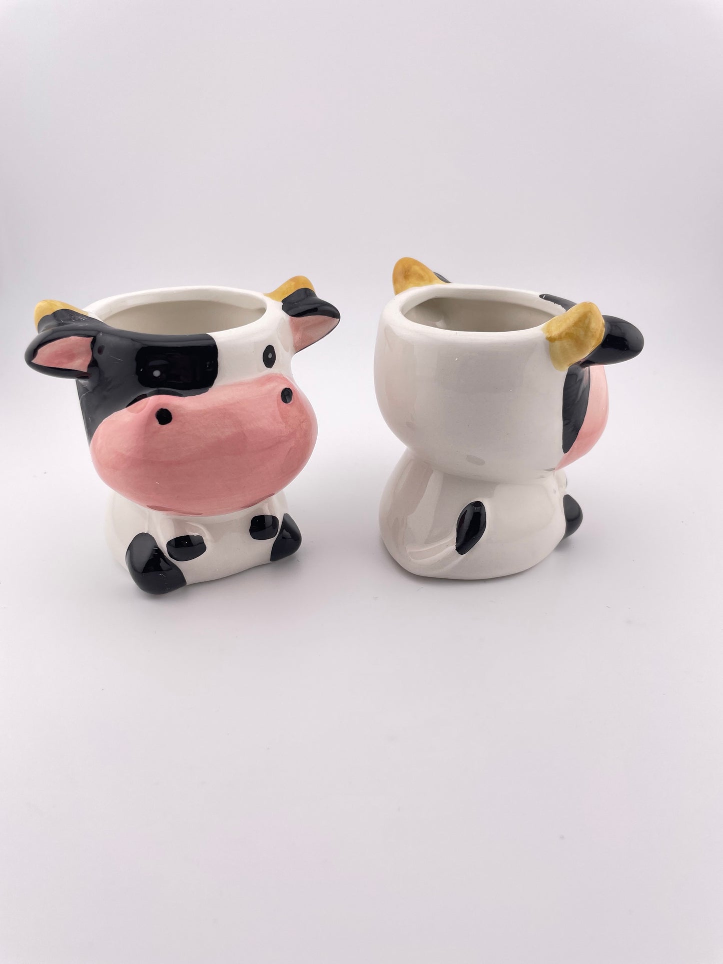 Cow pot w/ Tillandsia Red Abdita