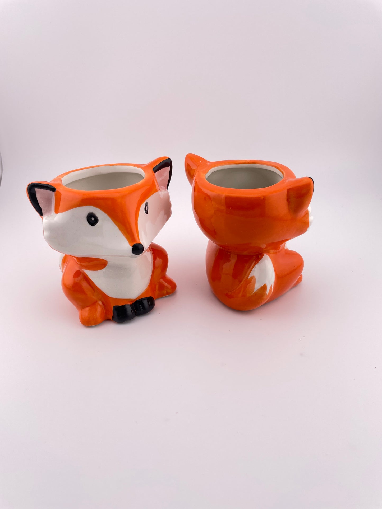 Fox pot w/ Tillandsia Peach Capitata