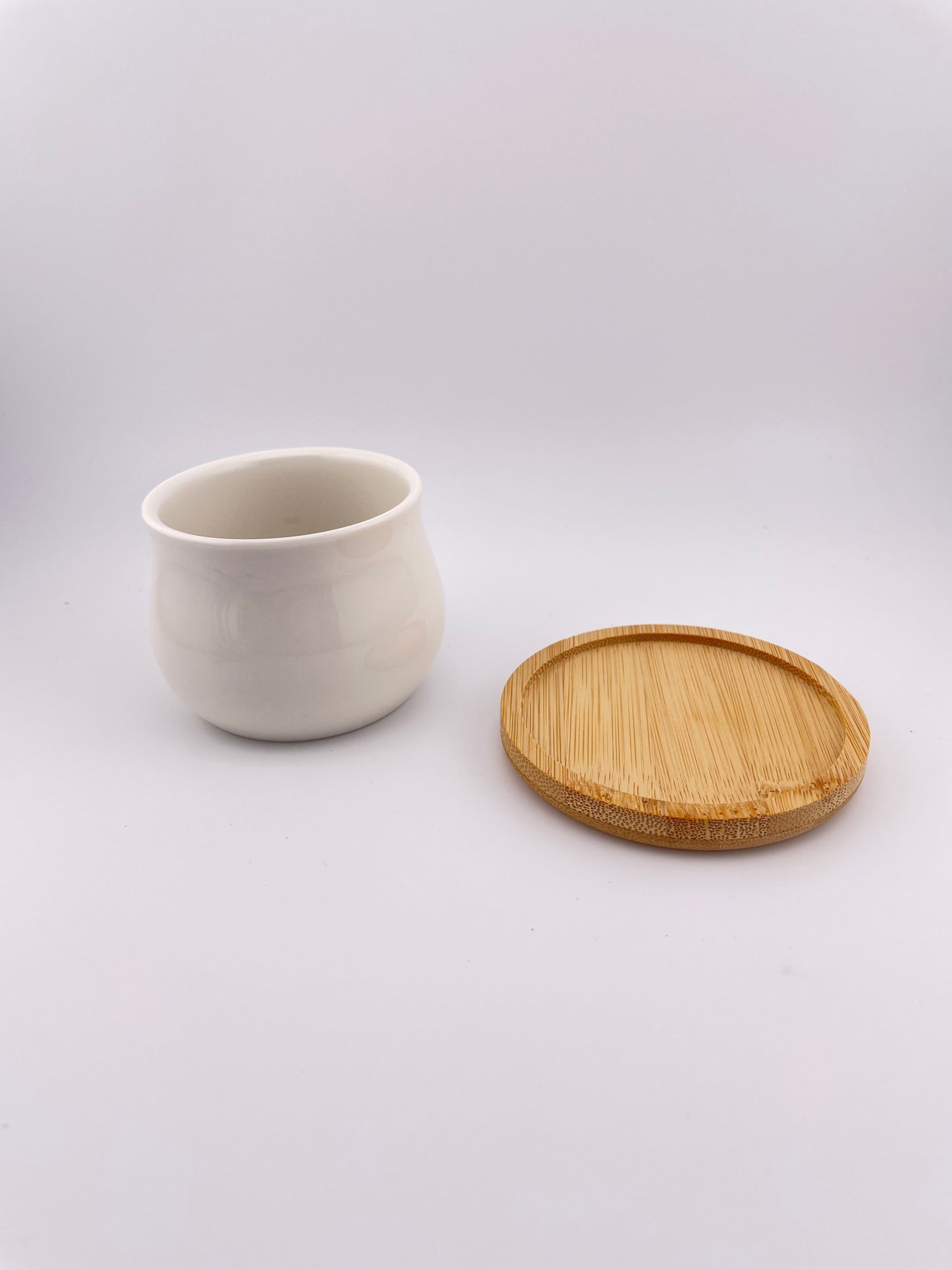 One Tillandsia Harrisii w pot