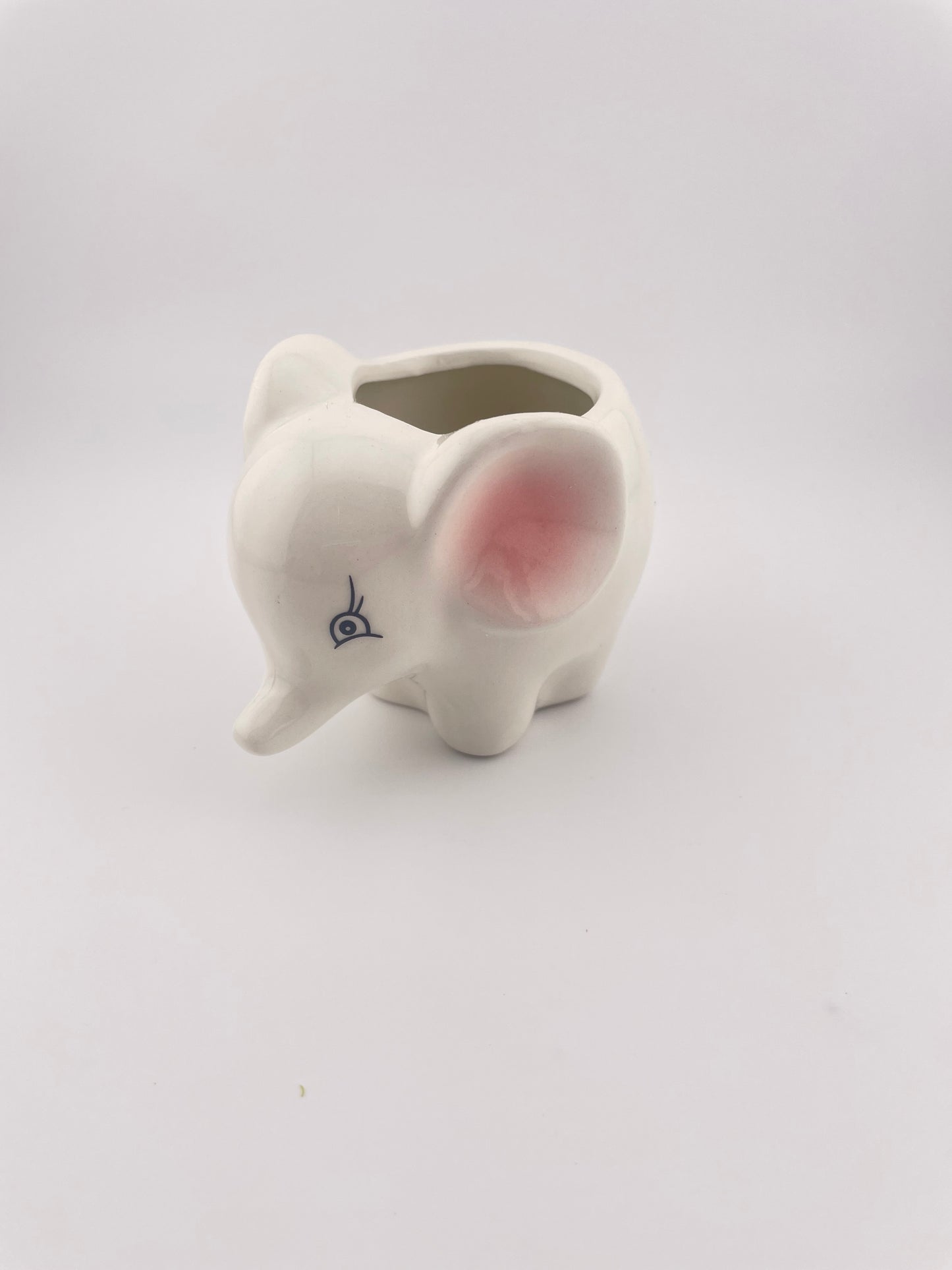 Elephant pot w/ Tillandsia Harrisii