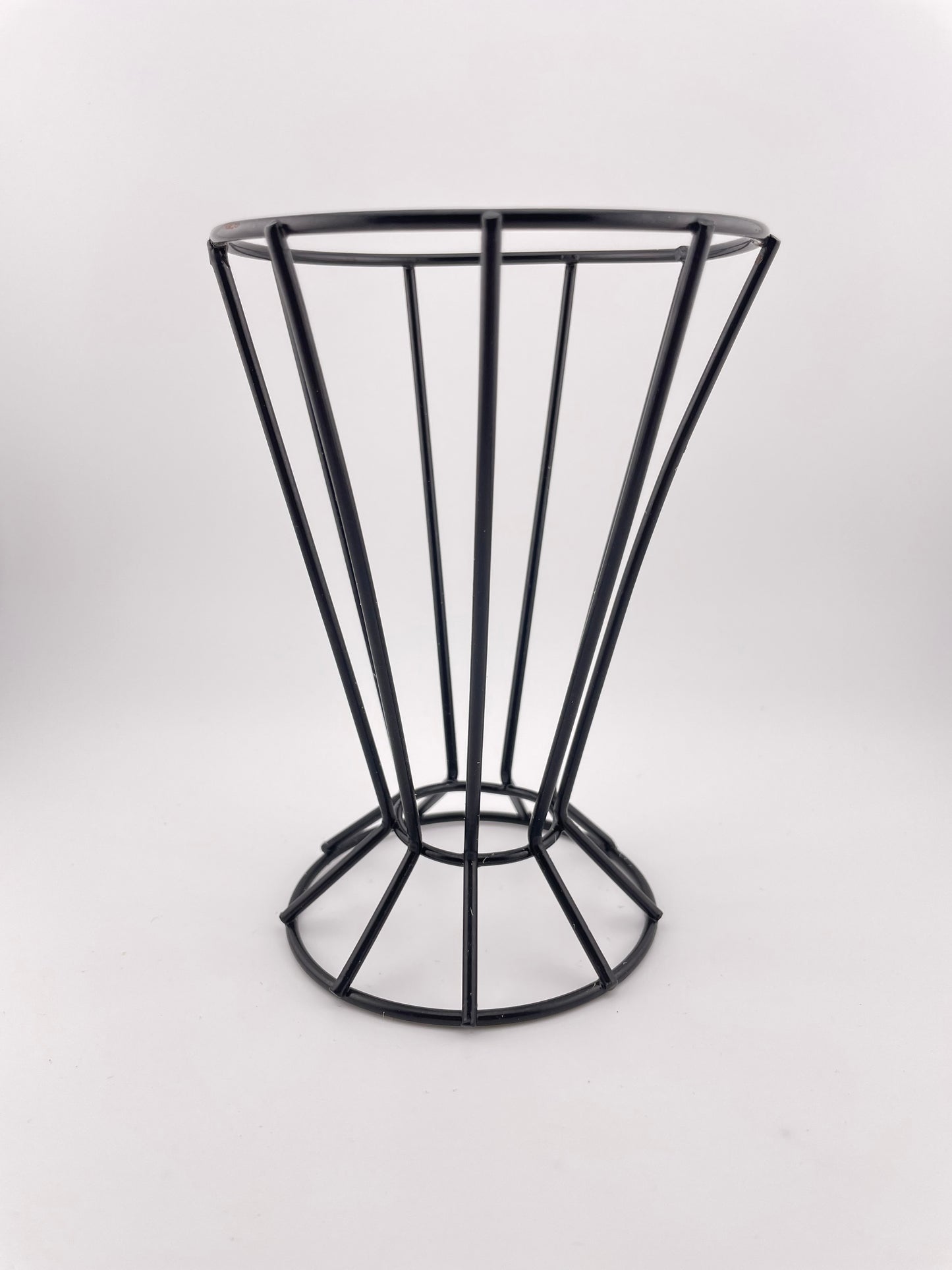 XL Tillandsia Tectorum Ecuador with black metal holder