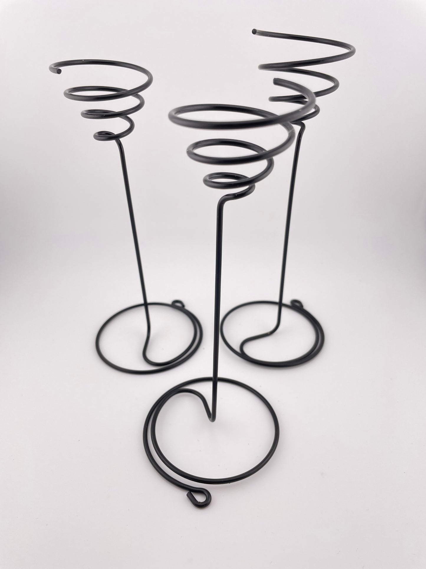 3 Tillandsia with black metal holders