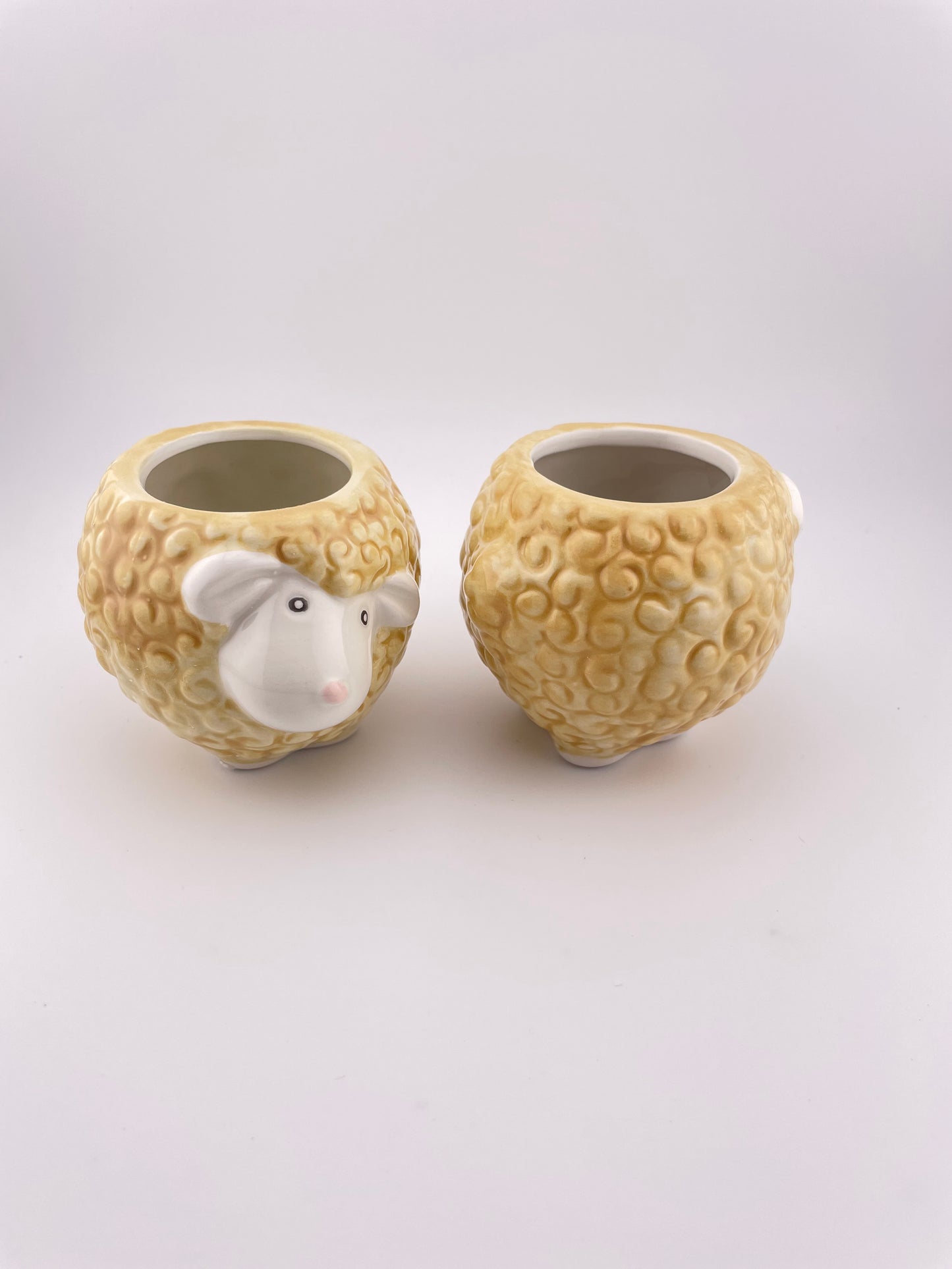 Sheep pot w/ Abdita Brachycalous