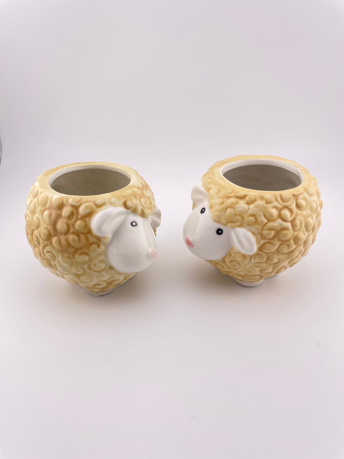 Sheep pot w/ Abdita Brachycalous